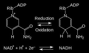 DOADORES E RECEPTORES DE ELÉTRONS Reação redox As reações de redox em células microbianas são mediadas por