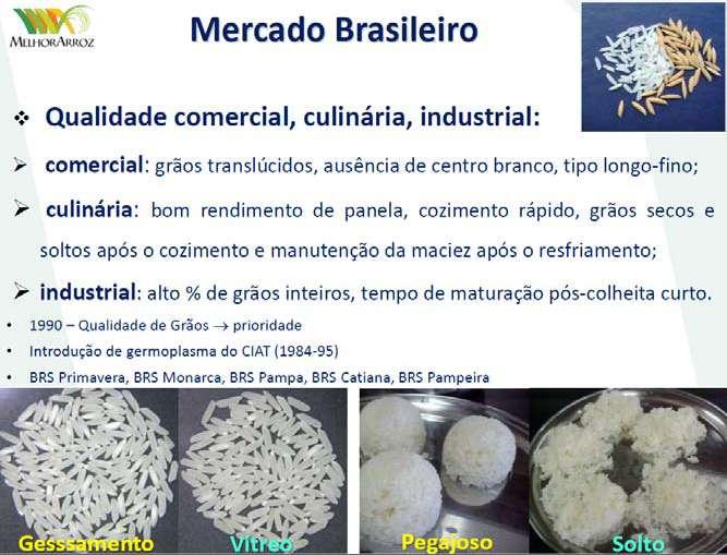 Nesse sentido, recentemente estiveram em Rondônia pesquisadoras da Embrapa, do grupo de melhoramento de arroz, para diversas ações na área de pesquisa, como auditar a qualidade do trabalho de campo e