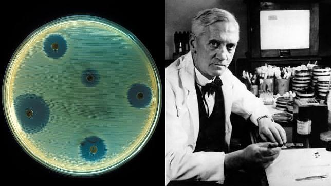 escocês Alexander Fleming e