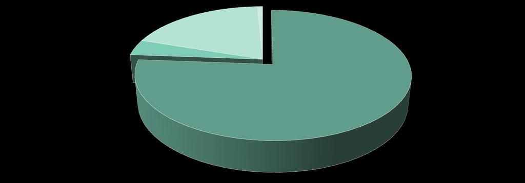 % de Tecidos Colhidos por Tipologia 4% 0% 0% 19% 1% 76% Córneas