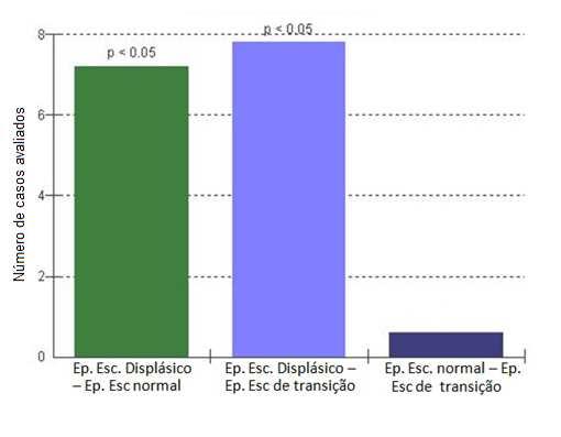 displásico foi de 675.567,605 um 2, epitélio escamoso maduro foi de 108.600,766 um 2 e o epitélio de transição foi de 69. 248, 666 um 2.