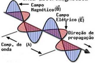 Transversal: A onda se propaga em uma direção perpendicular à oscilação mecânica do meio (no