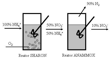 22 O processo SHARON é um dos novos processos de nitrificação desenvolvidos. Trabalham a temperaturas na faixa de 35 a 40 C e ph entre 7 e 8.