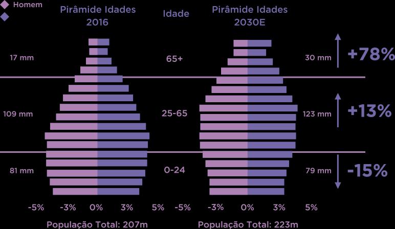 Pirâmide Populacional Gastos Diagnósticos por Faixa