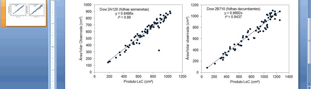 MORENO, J. A. Clima do Rio Grande do Sul. Porto Alegre: Secretaria da Agricultura, 1961. 41p. PEARCE, R.B.; MOCK, J J. & BAILEY, T.B. Rapid method for estimating leaf area per plant in maize.