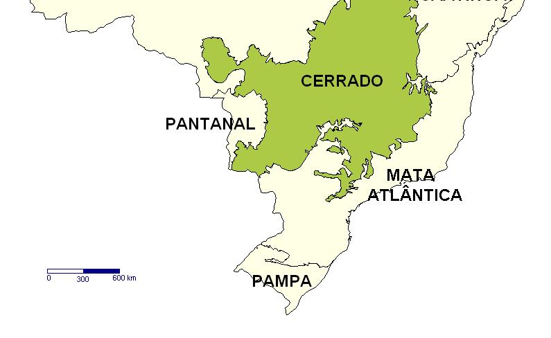 Devolutas e outros usos 159 18,7 Áreas Inexploradas Disponíveis para Agricultura (não considera Floresta Amazônica) 106 12,5 Total 851 100