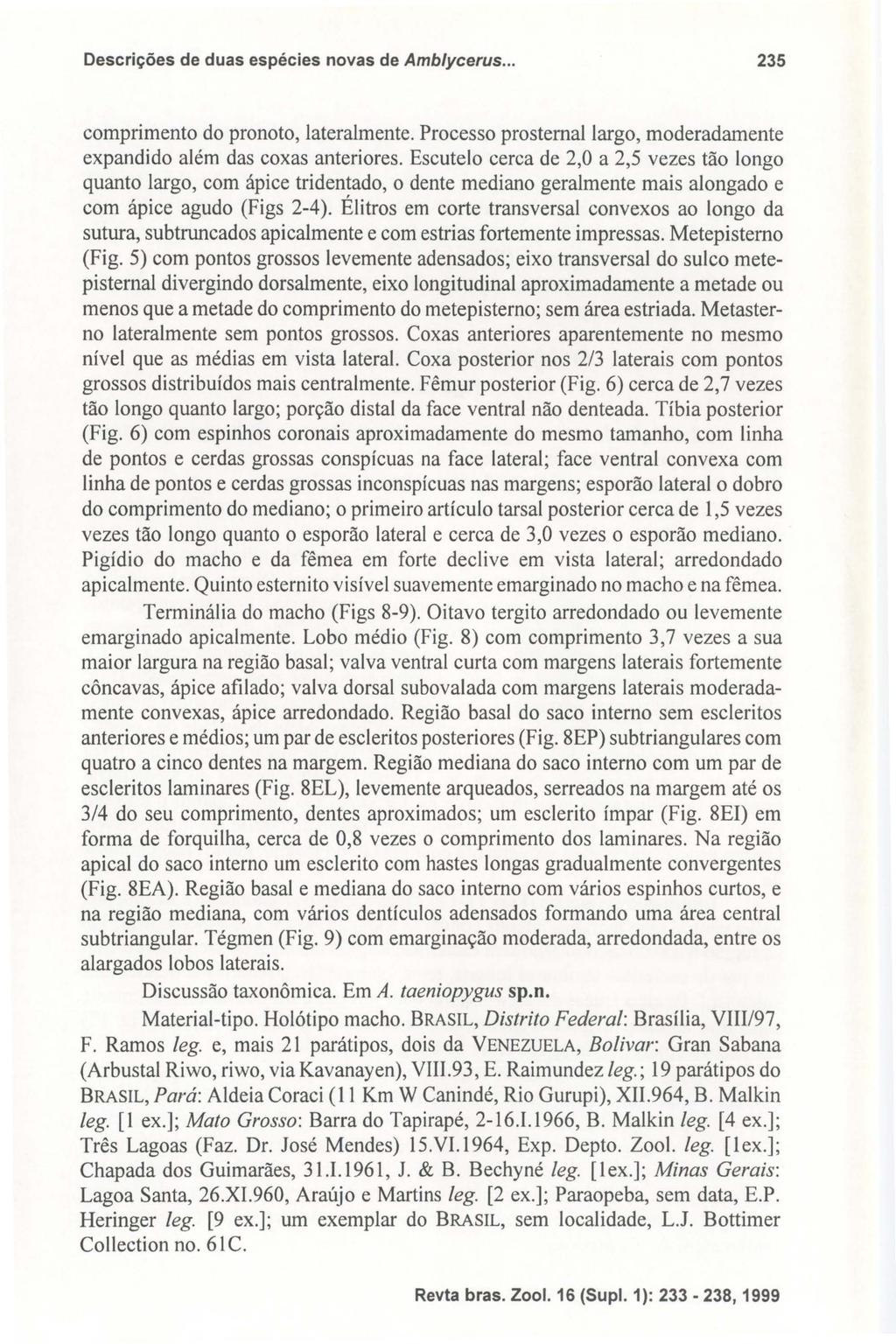 Descrições de duas espécies novas de Amb/ycerus... 235 comprimento do pronoto, lateralmente. Processo prostemallargo, moderadamente expandido além das coxas anteriores.