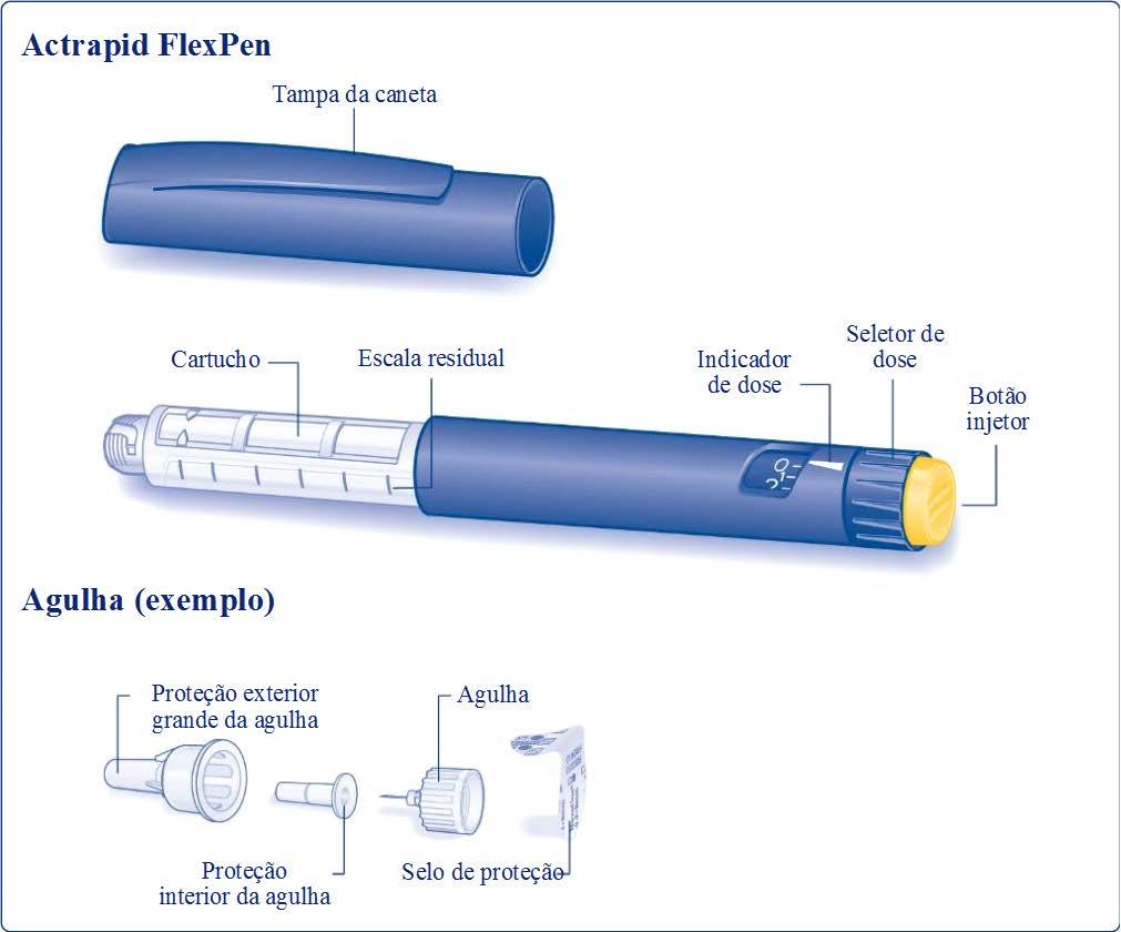 ACTRAPID solução injetável em caneta pré-cheia. FlexPen. INSTRUÇÕES DE UTILIZAÇÃO Leia atentamente as instruções seguintes antes de utilizar a sua Actrapid FlexPen.