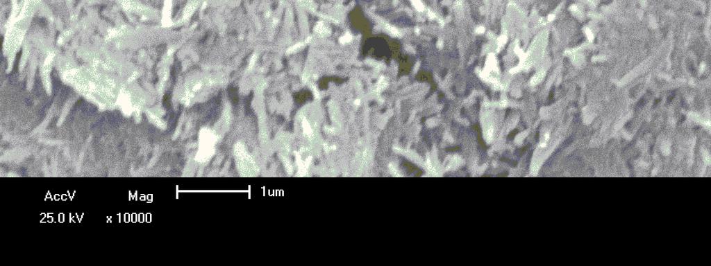 apresentam um D50 de 1,54 µm e que os grãos estão