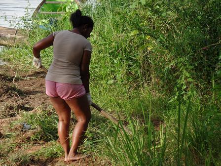 Figura 12 Capinação na frente da casa realizada por mulher quilombola. Comunidade Boa Vista, março de 2015. Fonte: Fotografia de Raimunda Patrícia Gemaque.