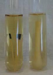 cones de papel Figura 2 - Amostras obtidas do sulco