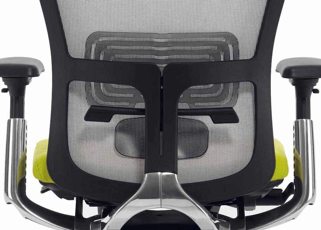 of each human being due to work habits and the development processes of the human body and that an asymmetric support will have a beneficial effect on the user of the chair.