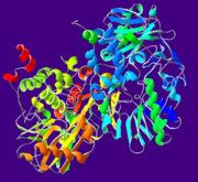 monoaminoxidases,