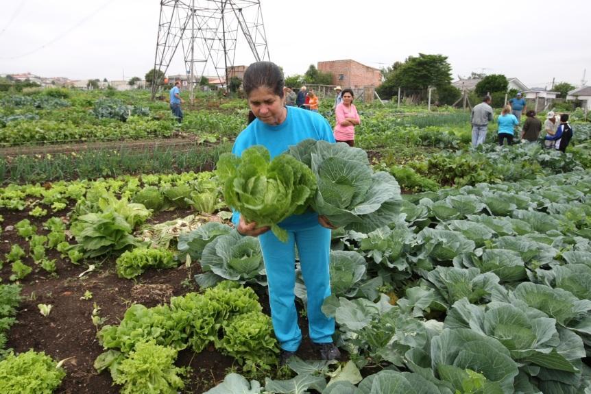 sistema de produção agroecológico. Em 5 meses teremos as primeiras colheitas da horta e a implantação de uma feira periódica que ficam como legado para a cidade.