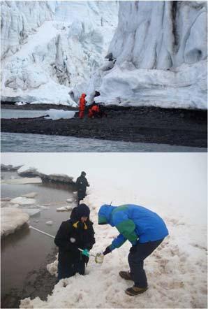 Atividades do Centro Polar e climático na ilha rei George 11 Em 1993, o Prof. Dr.