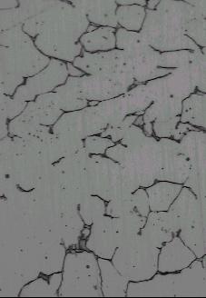 7 Micrografias: a ferrita vermicular (cinza