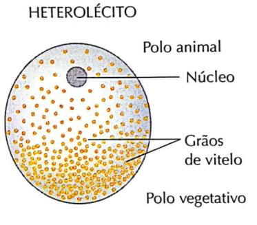 distribuido desigualmente.