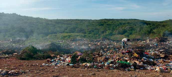 Região Litoral Norte Foto 5. Segregação de resíduos orgânicos no lixão de Marco para alimentação animal 2.5 Resíduos da limpeza urbana A Lei 11.