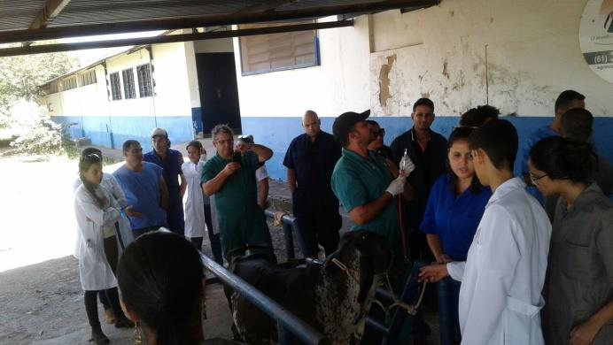 No dia 08/04/2017, o GPBOV participou de uma aula prática semiologia do aparelho digestivo, ministrada pelo Residente em Medicina Veterinária, Igor Moreira, no hospital de animais de grande porte da