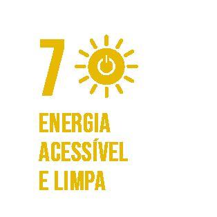 Metas Garantir acesso à energia barata, confiável, sustentável e renovável para todos 7.