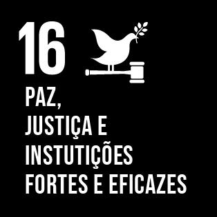 proporcionar o acesso à justiça para todos e construir instituições eficazes, responsáveis e inclusivas em todos os níveis. 16.