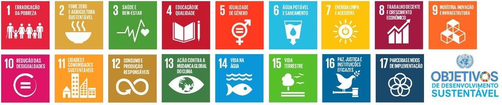 2015 Objetivos do Desenvolvimento Sustentável ODS -