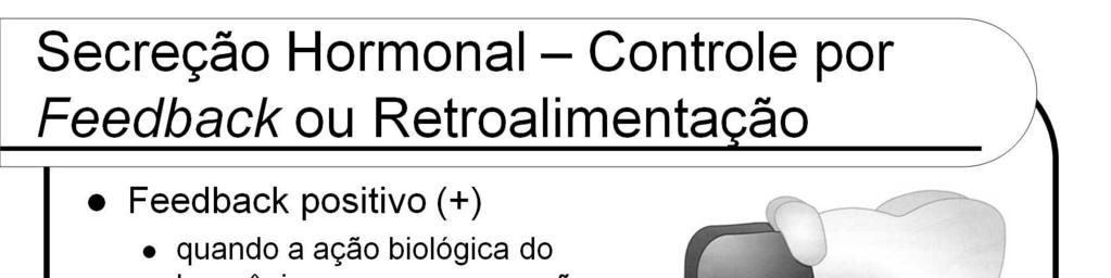 Em alguns casos, ocorre feedback positivo (+) quando a ação biológica do hormônio causa sua secreção adicional.