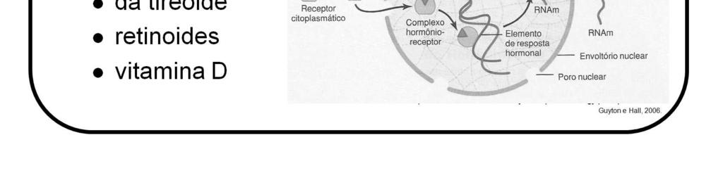 Muitos tecidos têm receptores hormonais intracelulares idênticos, mas os genes que os receptores regulam são diferentes nos vários tecidos.