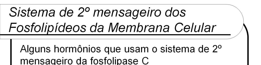 Os receptores têm os subtipos 1: um receptor acoplado a uma proteína Gq