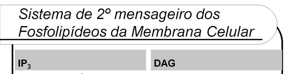 Difosfato de fosfatidilinositol = fosfatidil inositol difosfato (PIP 2 ), um fosfolipídio da membrana celular.