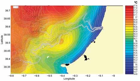 Estes modelos recorrem às condições de agitação ao largo geradas por outros modelos utilizados no IH, que cobrem toda a bacia do Atlântico Norte, e utilizam as previsões de ventos locais responsáveis