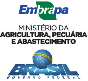 8 realizar a colheita da BRS A501 CL quando a umidade dos grãos estiver entre 19% e 22%.