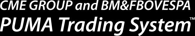 Desenvolvimentos de TI da BM&FBOVESPA Construindo uma plataforma de excelência em TI Aumentando o diferencial competitivo para os mercados de derivativos e de ações Latência Segmento BM&F