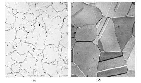 Micrografia: (a) Ferrita