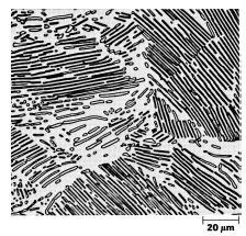 (a) (b) (a)microestrutura de um aço eutetóide arrefecido lentamente.