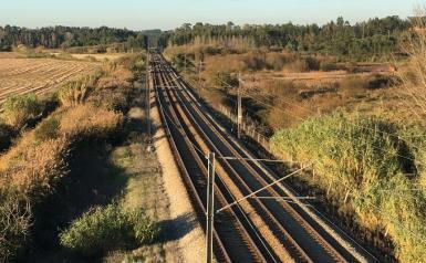 Colisões de comboios com obstáculos dentro do gabarito 240636 05-dez 19:36 4427 Ramal de Tomar Km 002,391 O maquinista informou o CCO de Lisboa que se encontrava retido no apeadeiro de