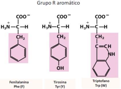 Grupamento estrutural/químico Cadeias