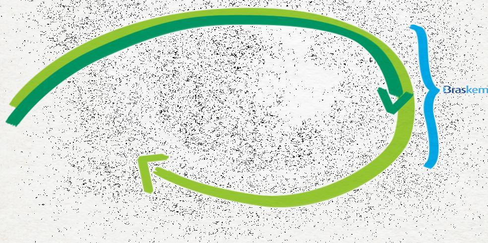 Cana-de-açúcar A cana-de-açúcar metaboliza o CO 2 para produzir sacarose Etanol CH3-CH2OH Na usina, o melaço é fermentado e destilado para produzir o etanol