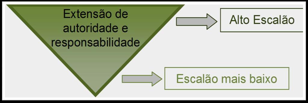 Hierarquia - Responsabilidade Dever de desempenhar a tarefa