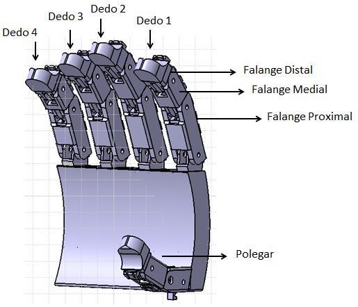ATUADORES LMF -- (3) Mão robótica Objetivo: Extensão da metodologia do dedo robótico, com o fim de obter mão robótica com baixo peso.