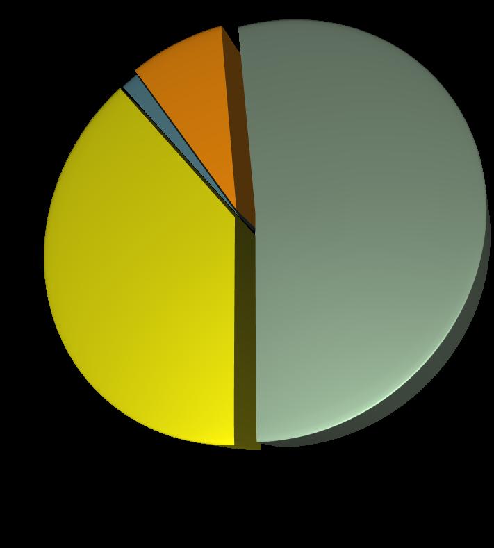 Regularização da vítima 39% 1% 8% 51% sim não em processo de regularização ñs/ñr n= 412 Em termos de regularização, das situações possíveis apurar, 51% das vítimas tem a sua situação regularizada em