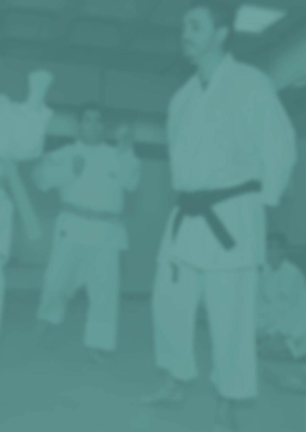 APRESENTAÇÃO No material a seguir, mostraremos como foi desenvolvido o projeto Karate VII - Inclusão pelo Esporte.