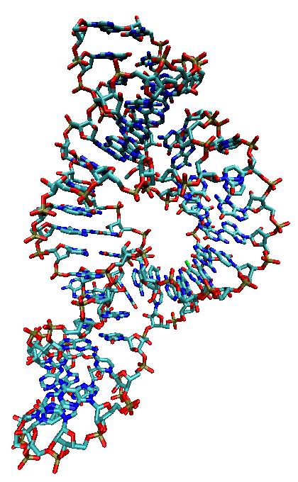 Estrutura cristalográfica da ribozima (código PDB: 2OEU). A fi g u r a f o i g e r a d a c o m o p r o g r a m a Visual Molecular Dynamics ( V M D ), d i s p o n í v e l e m : < http://www.ks.uiuc.