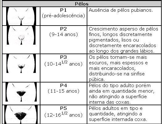 Os primeiros ciclos menstruais costumam ser irregulares, anovulatórios e mais prolongados, por causa do inadequado desenvolvimento folicular.