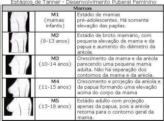 A velocidade de progressão de um estádio para outro é similar entre as mamas e os pelos púbicos, variando de 0,5 a 0,9 ano, para cada um, entre os estádios 1 ao 4.