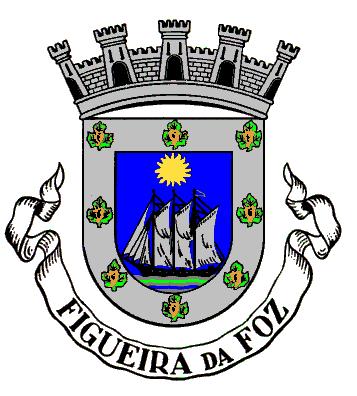 Considerando as atribuições da Divisão de Juventude, Desporto e Colectividades desta Câmara Municipal da Figueira da Foz, nomeadamente a programação, o estudo e a organização de programas, bem como