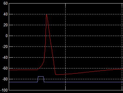 Modelo de Hodgkin-Huxley Usando o circuito equivalente, vemos que na fase de despolarização temos a condutância do Na + alta, o que permitirá entrada de íons de Na + na célula, elevando a corrente I