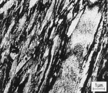 TAMURA, 1980 apud HUALLPA, 2011) Micrografia da martensita na
