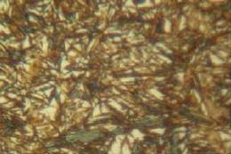 1.2 Microestruturas dos Aços Austenita: Micrografia mostrando a mistura de martensita e austenita retida (áreas claras) (FREITAS, 2014). 1.