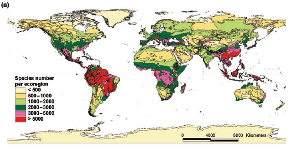 Distribuição da Biodiversdiade Número de espécies de plantas por região Source: Kier G, Mutke J, Dinerstein E, Ricketts TH,